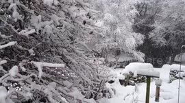 UK Arctic freeze hits North Yorkshire with snow and ice