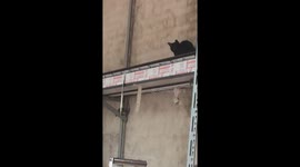 Moment of suspense when the cat stalks and chases the mouse like Tom & Jerry