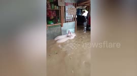 Severe flooding hits Philippines after heavy rains