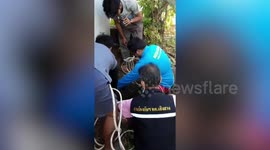 Stranded puppy rescued after falling into 65ft deep well