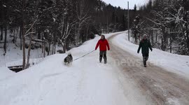 Snow Much Fun Tobogganing