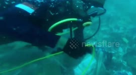 Underwater footage shows wreckage of downed Indonesian Boeing 737