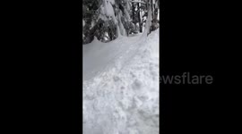 Japan: Heavy Snow Continued, Shrine Buried In Record Snow