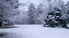 US: Pretty scene as winter storm brings snow to southern states