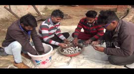 Unemployed youth in northern India 'earn millions' by cultivating mushrooms