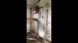 Modified chicken coop uses light sensors to open and close hatch