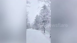 Beautiful 'hard rime' phenomenon filmed in Chinese forest park