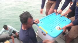 Indonesian Navy give battle cry as black box found and sent ashore