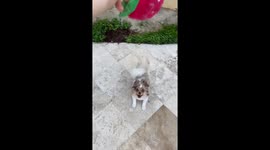 What gets you this excited?