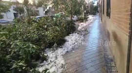 Spain: Fallen Trees Left On Madrid Streets After Filomena’s Heavy Snow