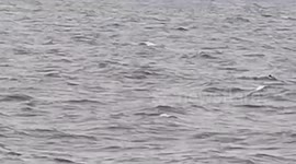 Fisherman floating on ice chest rescued after boat capsizes in the Philippines