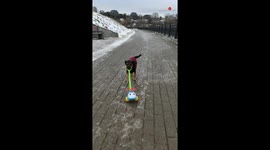 Dog the helicopter driver