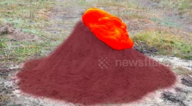 Ukrainian YouTuber makes gooey orange-coloured elephant toothpaste in explosive experiment
