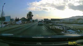 Dog attacks cars on the road