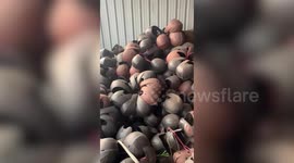 Police officials busted fake helmets racket in northern India
