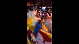 Stylish dog dressed in fashion is sitting on a ferris wheel