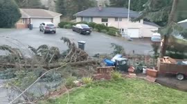 Aftermath of deadly windstorms in Pacific Northwest