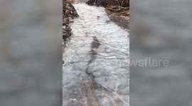 Mesmerizing footage shows frozen puddle thawing under it’s frozen surface