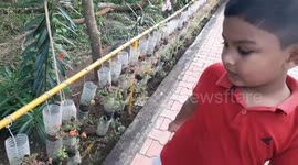 Tree park in south India recycles plastic bottles to grow medicinal plants