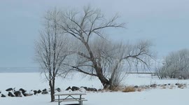 Cool Rime Ice  along the shores of Lake Superior in Ashland WI