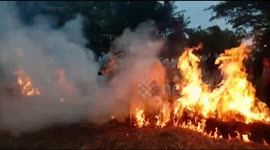 Indian tradition comes under fire as cattle forced to walk through flames