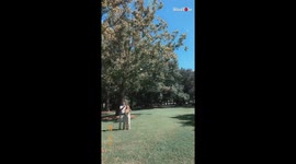 Perfect Gender Reveal Using Drone