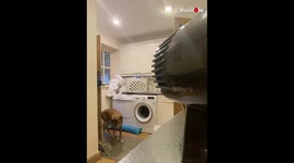 Husband Scared The Wife By Laying Down On The Laundry Room Floor
