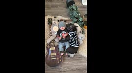 Rocker baby and frenchie did this