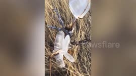 Unique ice formations on grass resemble butterflies in northern China