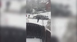 Strangers rushed out in freezing conditions to help a hearse up a hill after it got stuck in the snow