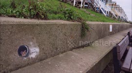 UK artist dubbed 'Banksy of Sheppey' gives Kent an urban makeover