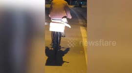 Adorable Cat Sits Inside Box At The Back Of A Bicycle With Its Owner