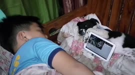 Loyal dog holds boy's tablet while he watches videos