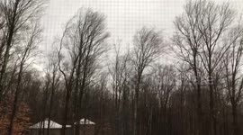 Wind Gusts in Southern Vermont on Jan 16th 2021