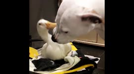Brush your teeth!