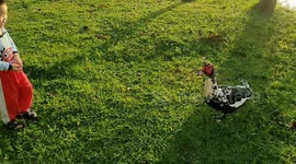 Funny footage of a two-year-old running away from duck