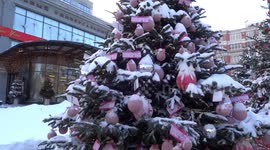 Visitors enjoy collection of stylish Christmas trees on Kuznetsky Most in Moscow