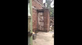 Indian Desi Dehati Video