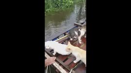 @SariNurpita @banjarbase https://t.co/p63CX4ne9j