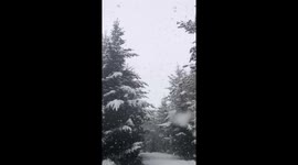 Watching the snow fall in slow motion