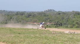 Terrifying moment deer crosses runway inches from plane's propeller as it lands in South Africa