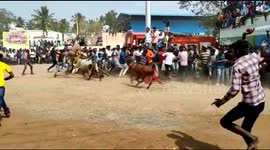 Crowd goes wild after raging bull sends police officer flying into the air in India