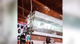 Homes shake as magnitude 6.4 earthquake hits Argentina