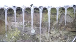 Winter Icicles