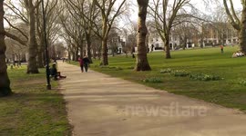 Summer arrives in North London