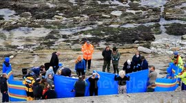 beached pilot whale on castle beach falmouth cornwall