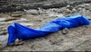 police and marine rescue watch over the corpse of the dead pilot whale falmouth