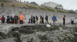 Pilot whale stranding 6