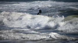 devon surfers where able to still surf at wembury national trust rangers kept the beach clean wile birds where still floating in dead