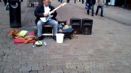 Guitarist!!!!!!!!!!!!!!!!!!!!